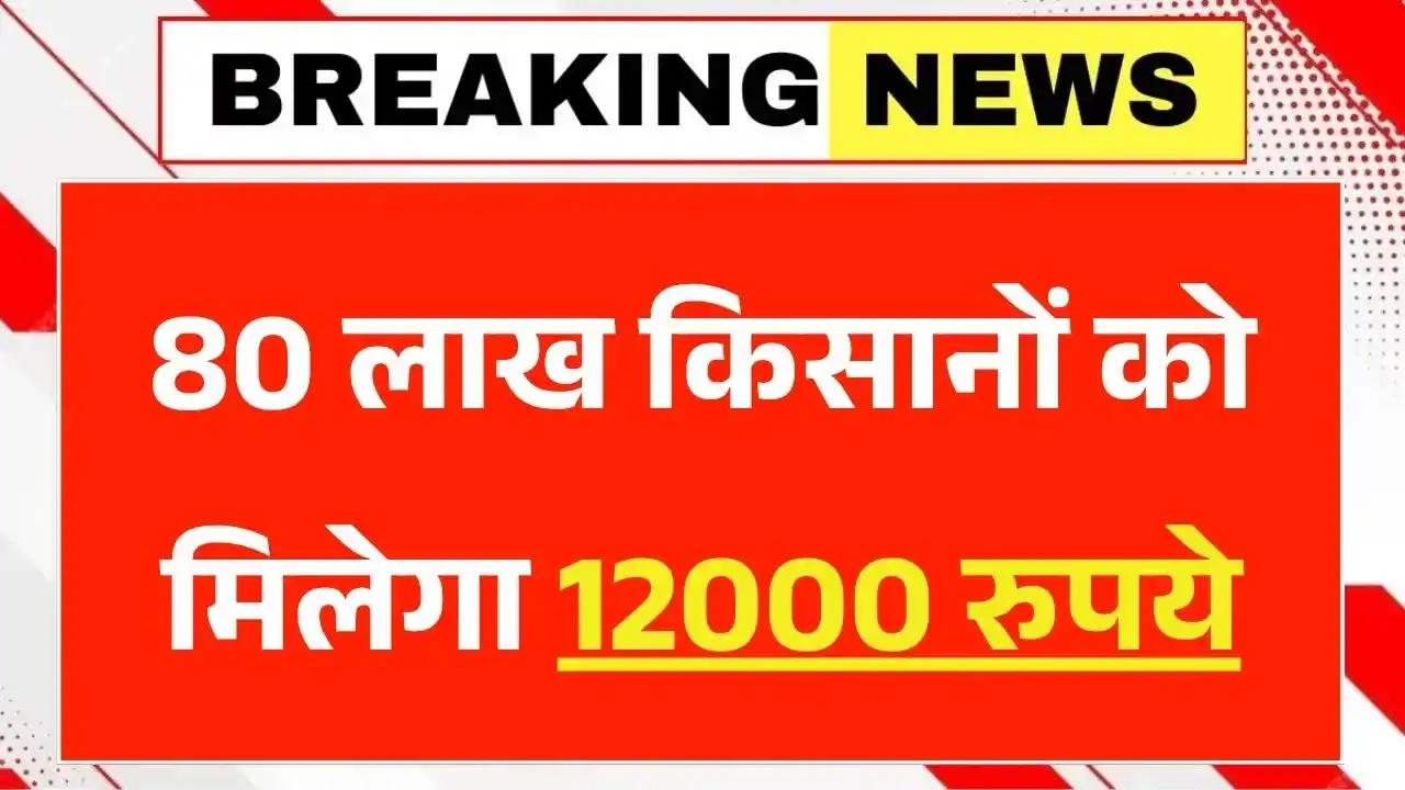CM Kisan Yojana 2025