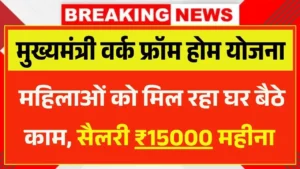 CM Work From Home Yojana